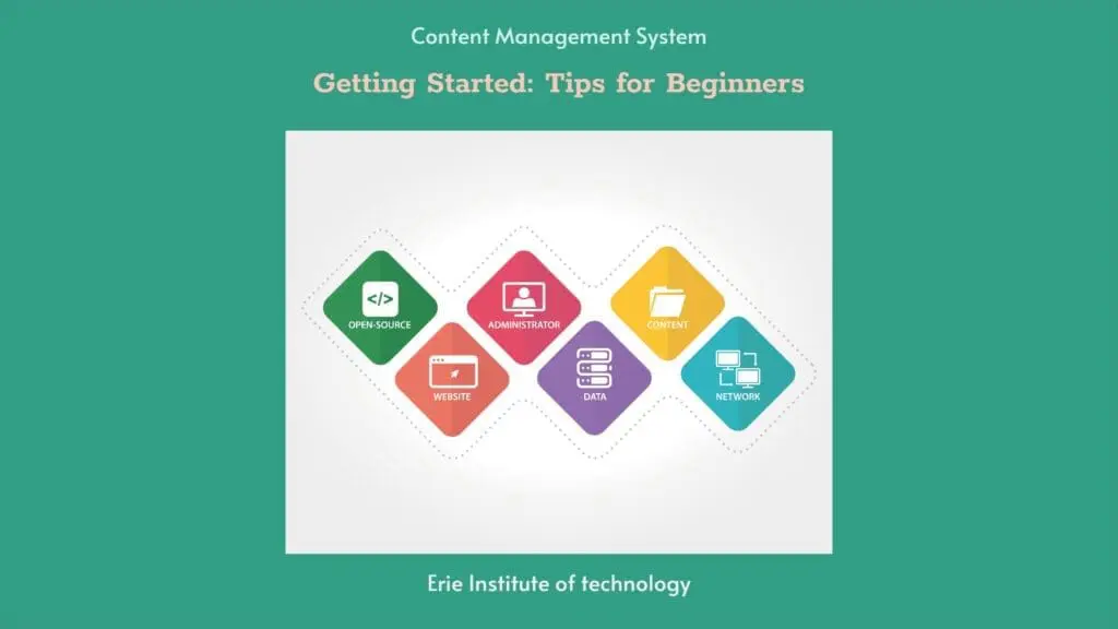 cms tips for beginners