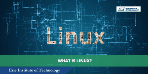 What is the Linux Operating System - A Comprehensive Guide